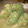 Medical Green BUds LsdMdma Weed Coke Meth Cold Shrooms -- W1ckr ID ///Sniffdr420