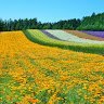 schandnasss