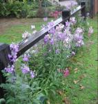 post-526-027355000 1285365261_thumb.jpg