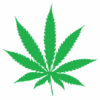 sekritstoner