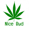 Nice_Bud